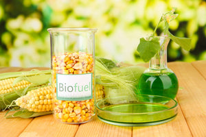 Conversion au Bio Ethanol (3/4 cylindres)